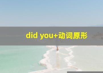 did you+动词原形